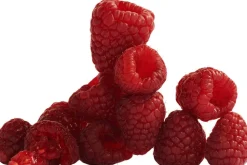 Lady Million Deodorant spray 150 ml