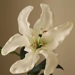Large Lily Flower
