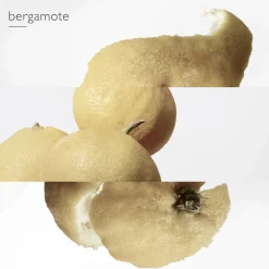 Le Jardin de Monsieur Li Eau de Toilette