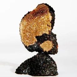 LOEWE Earth Eau de Parfum