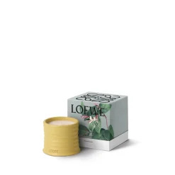 LOEWE Honeysuckle Candle