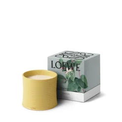 LOEWE Honeysuckle Candle