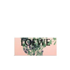 LOEWE Oregano Soap Bar