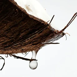 LOEWE Paulas Ibiza Eau de Toilette