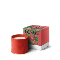 LOEWE Tomato Leaves Candle