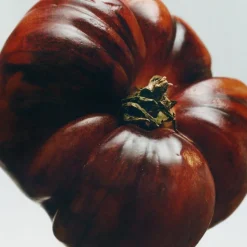 LOEWE Tomato Leaves Large Soap Bar