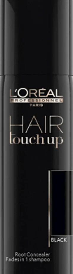 L'Oréal Professionnel Hair Touch Up Black