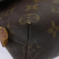 Louis Vuitton Pouch
