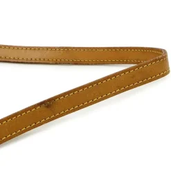 Louis Vuitton Trocadero