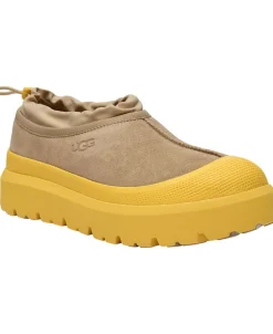 M Tasman Weather Hyb