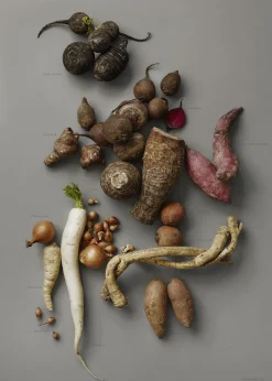 MAD/PLAKAT - Grå rødder- pl