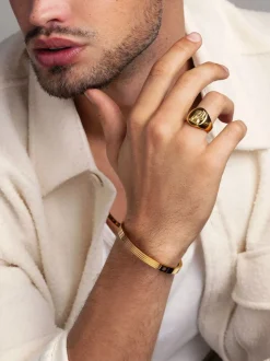 Men's Stainless Steel Lion Crest Ring with Gold Plating