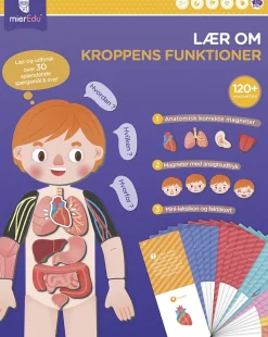 mierEdu - Magnetisk legesæt - Lær om kroppens funktioner