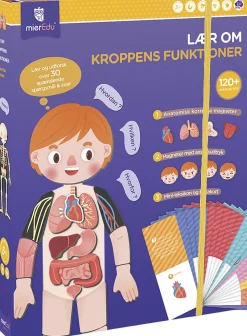 mierEdu - Magnetisk legesæt - Lær om kroppens funktioner