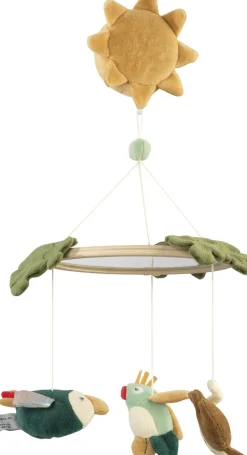 Musik- & spejluro, Safari