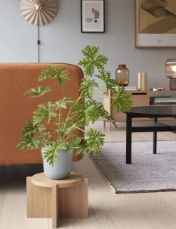 Nomad Plant Stand Natural