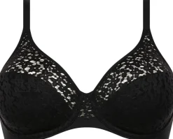 Norah Covering molded bra