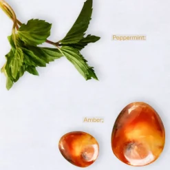 Oceanic Amber Eau De Toilette