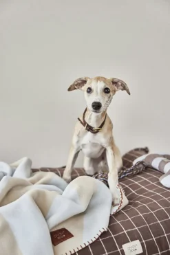 Otte Hunde Reblegetøj