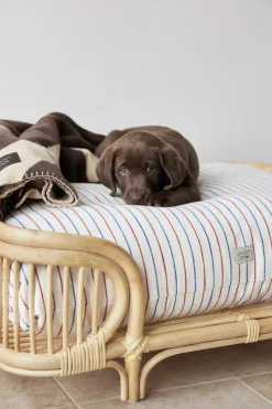 Otte Hundeseng - Medium