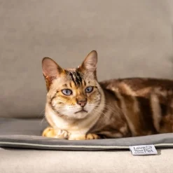 PetCare PP 210 Lilli Varmemåtte til kæledyr 41x34 cm