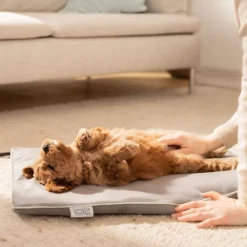 PetCare PP 210 Lilli Varmemåtte til kæledyr 41x34 cm