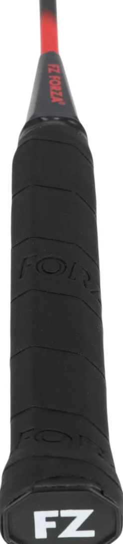 Play 500 Badmintonketcher