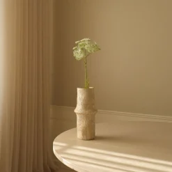 Queen Anne's Lace Flower