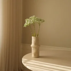 Queen Anne's Lace Flower