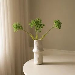 Queen Anne's Lace Flower