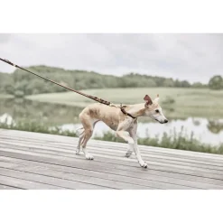 Robin Hundesnor - M/L