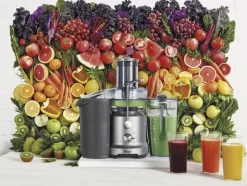 SAGE SJE 430 SIL JUICER