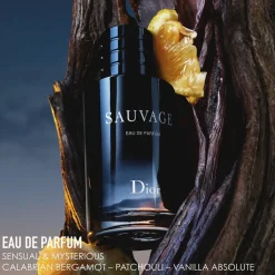 Sauvage Eau de toilette