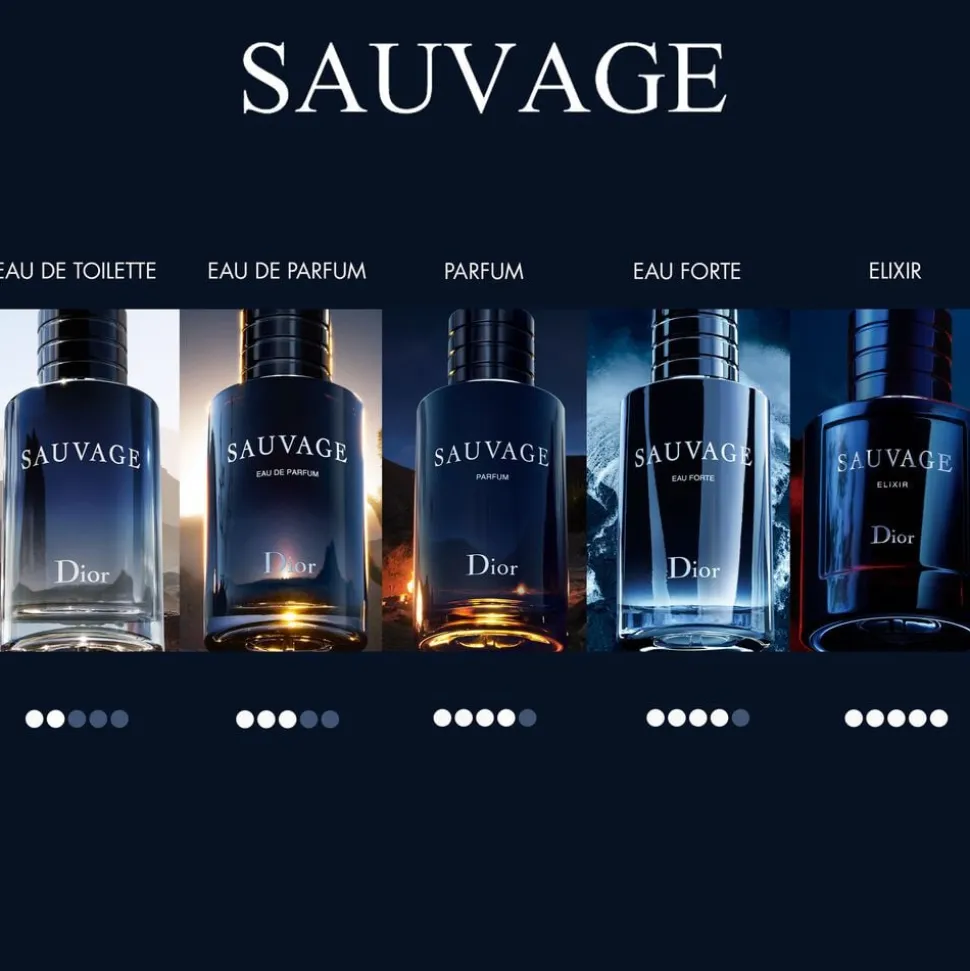 Sauvage Parfums Travel Spray 30ML INT25