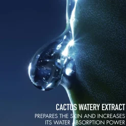 Sauvage The Toner Face Toner Lotion with Cactus Extract