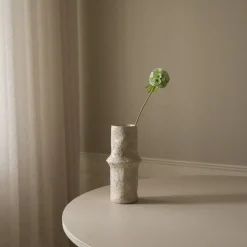 Scabiosa Seed Pod Flower
