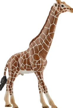 Sch Giraffe male