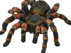 Sch Tarantula