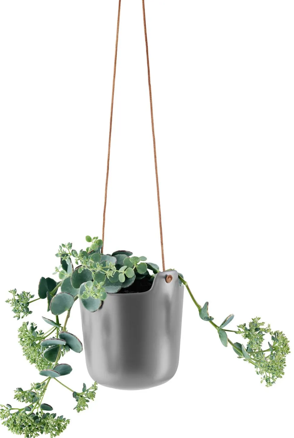 Selvvandende urtepotte