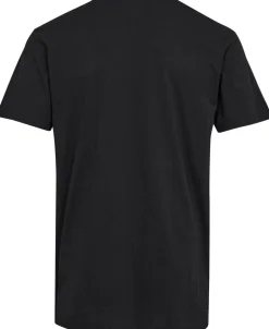 Slim Crewneck 3-Pack