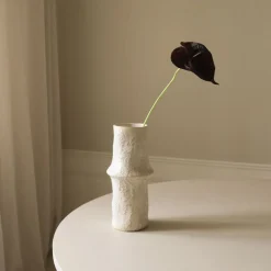 Small Anthurium Flower