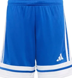 Squadra 25 Shorts