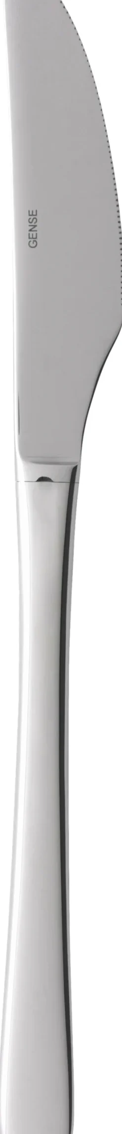 Steel Line bordkniv blank stål L21,5cm