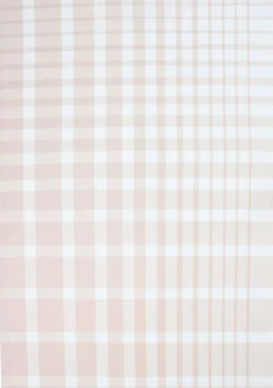 Tea Towels 50x70 cm ENZO - Check rose