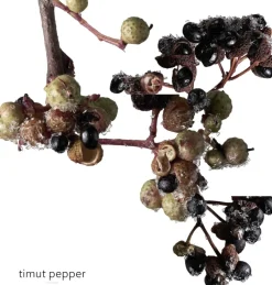 TERRE D'HERMÈS EAU GIVRÈE EAU DE PARFUM