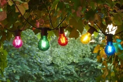 Tobias, Startsæt,10L, Multi