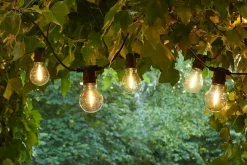 Tobias, Suppl. sæt,10L, Klar