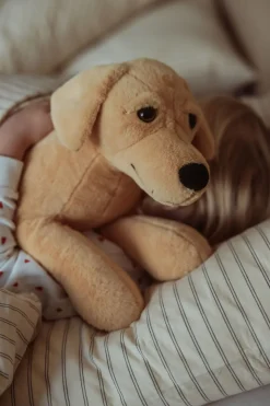 TYNGDEDYR HUND. 2,2 KG