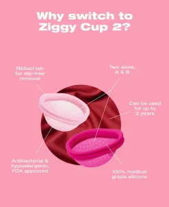 Ziggy Cup 2 Size B